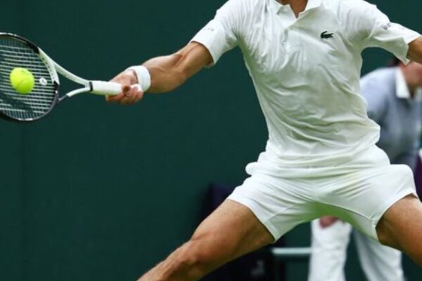 Novak Djokovic Advances to Wimbledon Semifinals